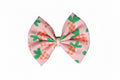 Pink Carrots Bow